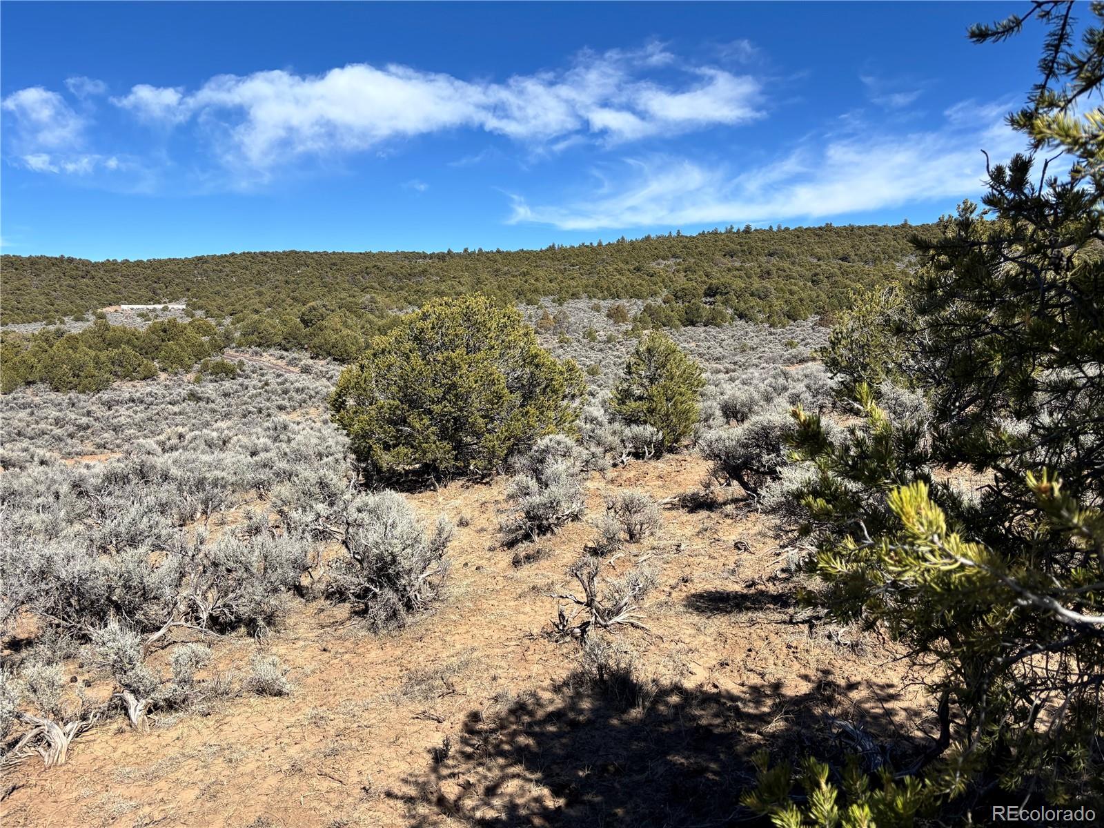 00 Bull Elk Trail San Luis CO 81152
