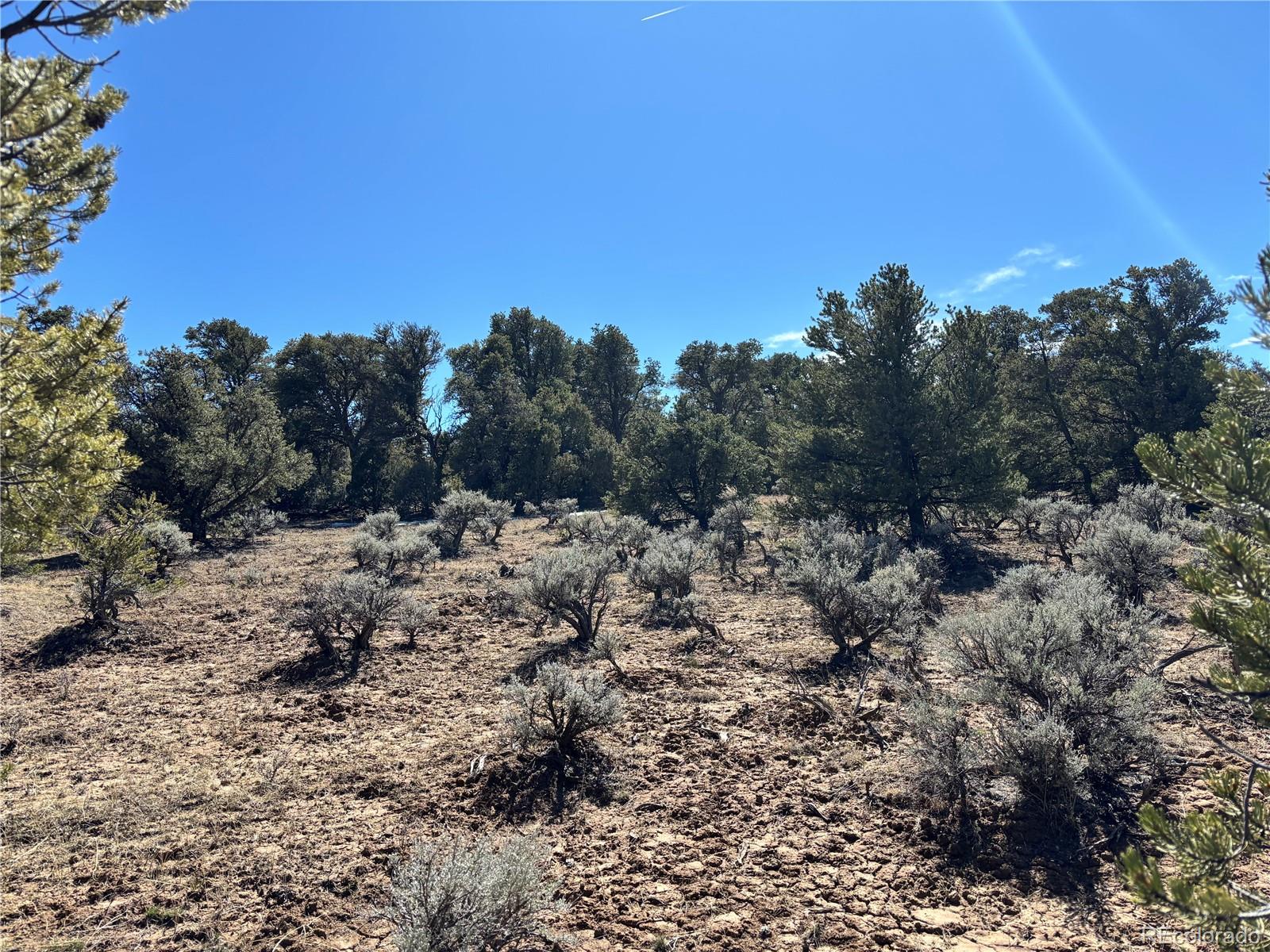 00 Bull Elk Trail San Luis CO 81152