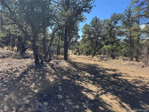 TR-143 18th Trail Cotopaxi CO 81223