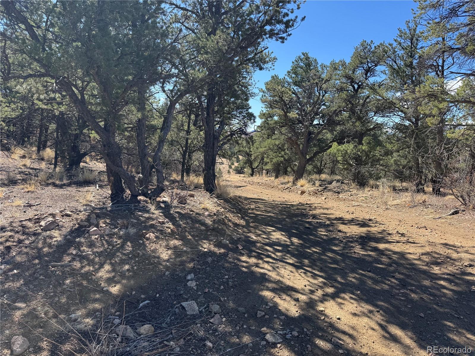 TR-143 18th Trail Cotopaxi CO 81223