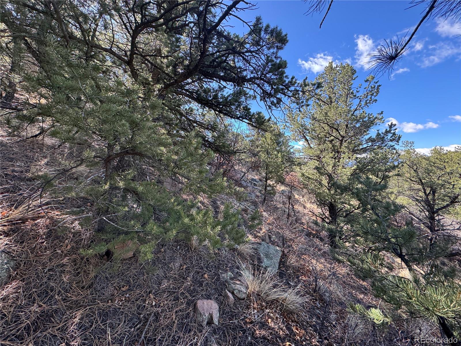TR-143 18th Trail Cotopaxi CO 81223