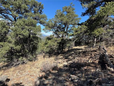 TR-143 18th Trail Cotopaxi CO 81223