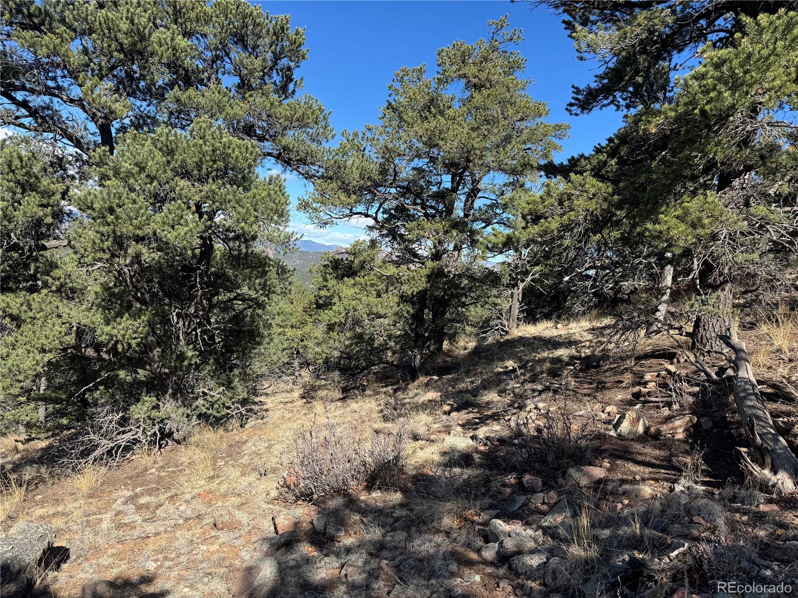 TR-143 18th Trail Cotopaxi CO 81223