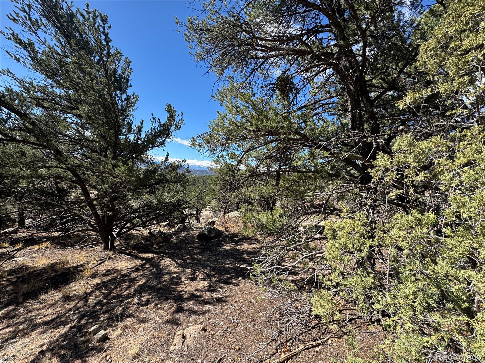 TR-143 18th Trail Cotopaxi CO 81223