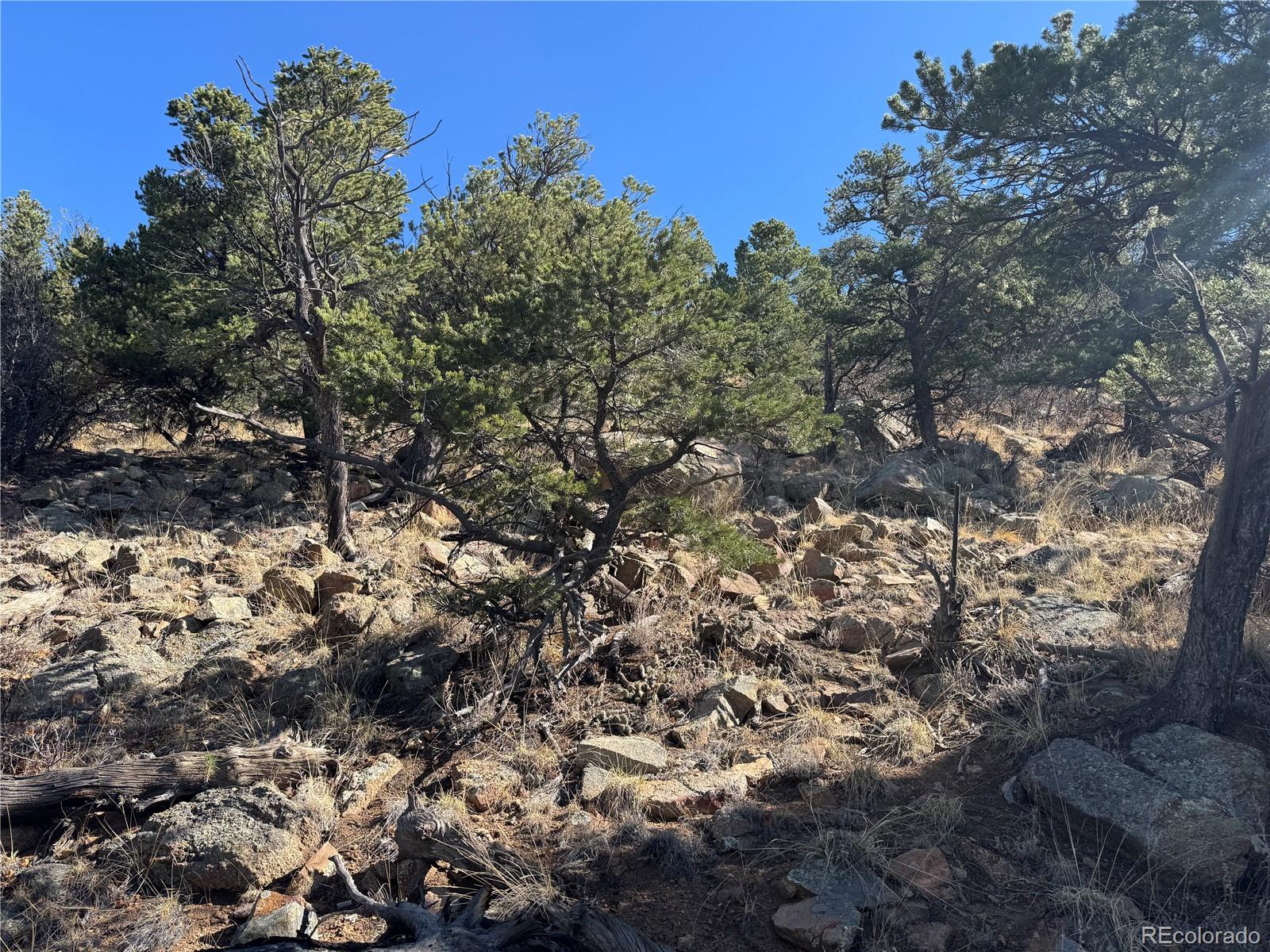 TR-143 18th Trail Cotopaxi CO 81223