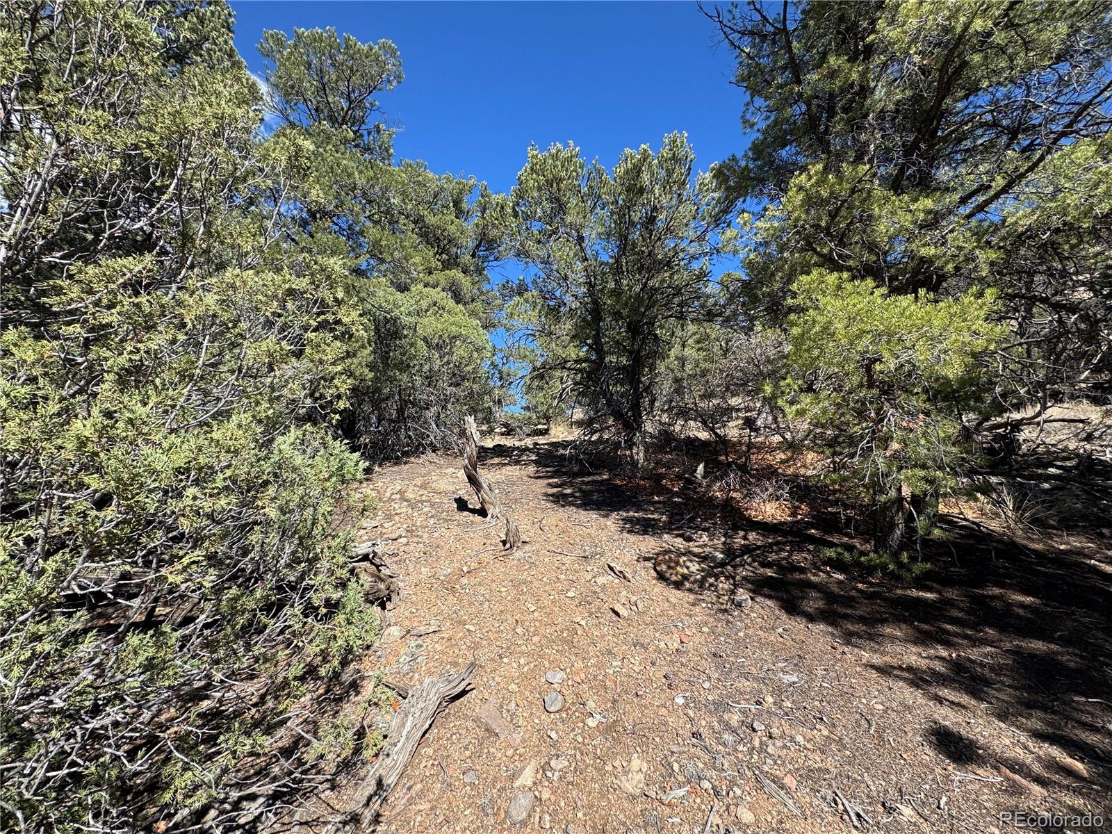 TR-143 18th Trail Cotopaxi CO 81223