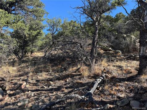 TR-143 18th Trail Cotopaxi CO 81223