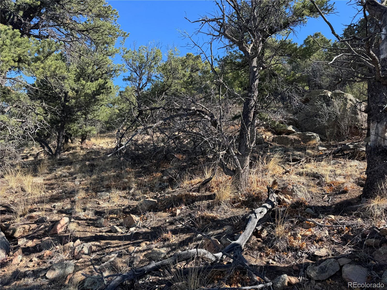 TR-143 18th Trail Cotopaxi CO 81223