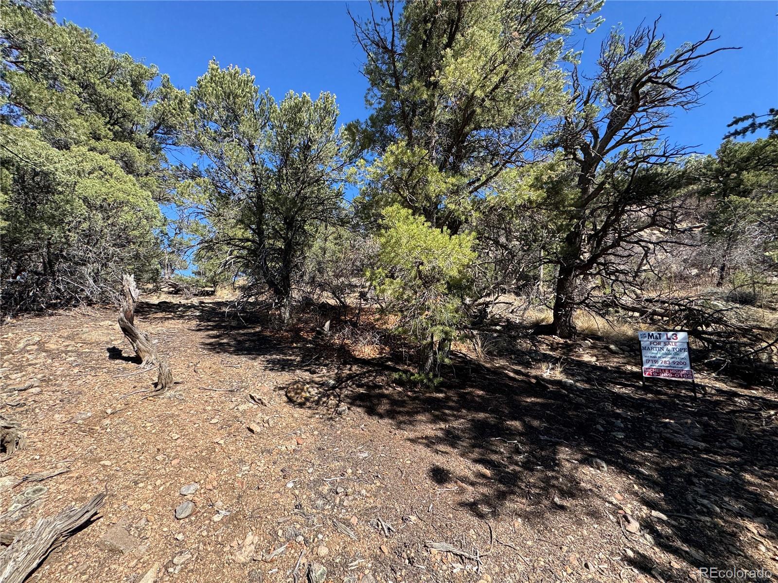 TR-143 18th Trail Cotopaxi CO 81223