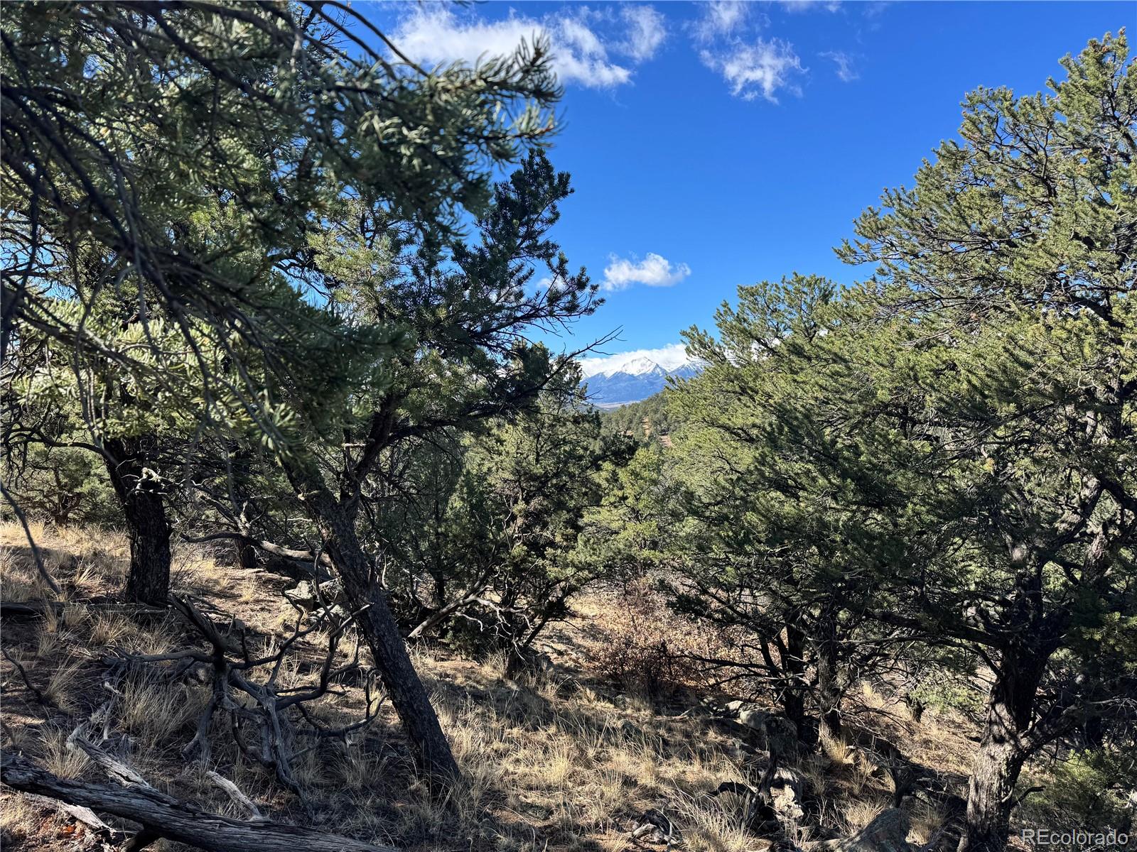TR-143 18th Trail Cotopaxi CO 81223
