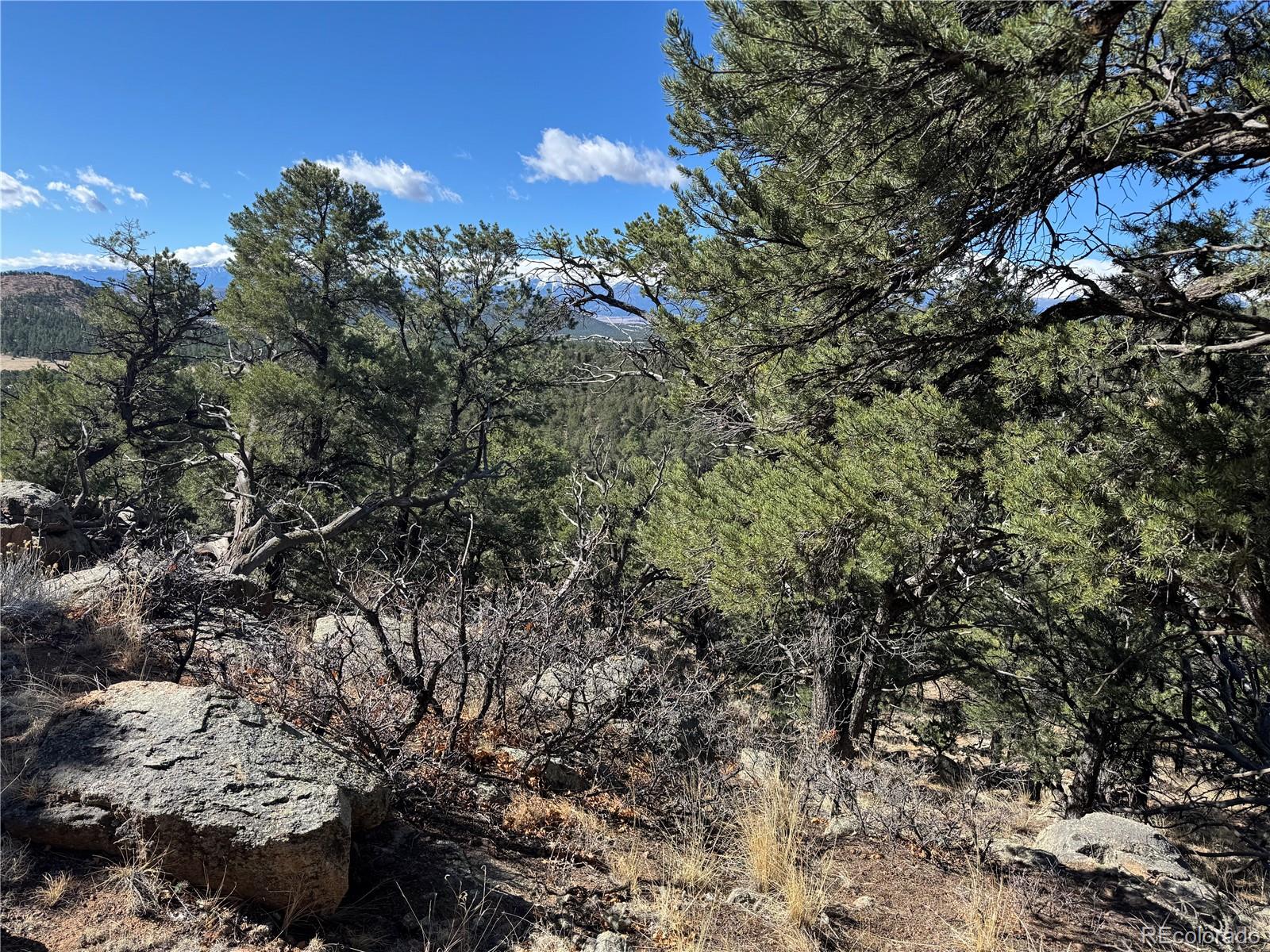 TR-143 18th Trail Cotopaxi CO 81223