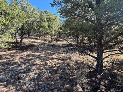 TR-143 18th Trail Cotopaxi CO 81223
