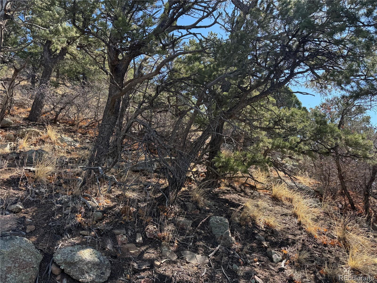 TR-143 18th Trail Cotopaxi CO 81223