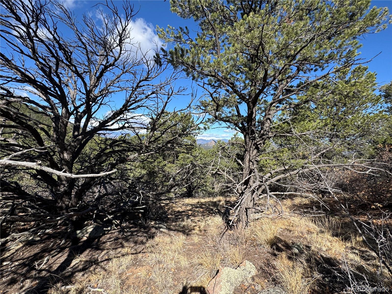 TR-143 18th Trail Cotopaxi CO 81223
