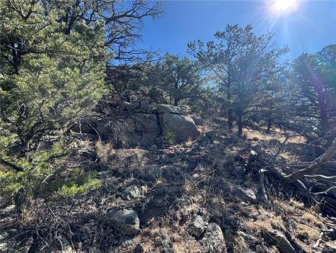 TR-143 18th Trail Cotopaxi CO 81223