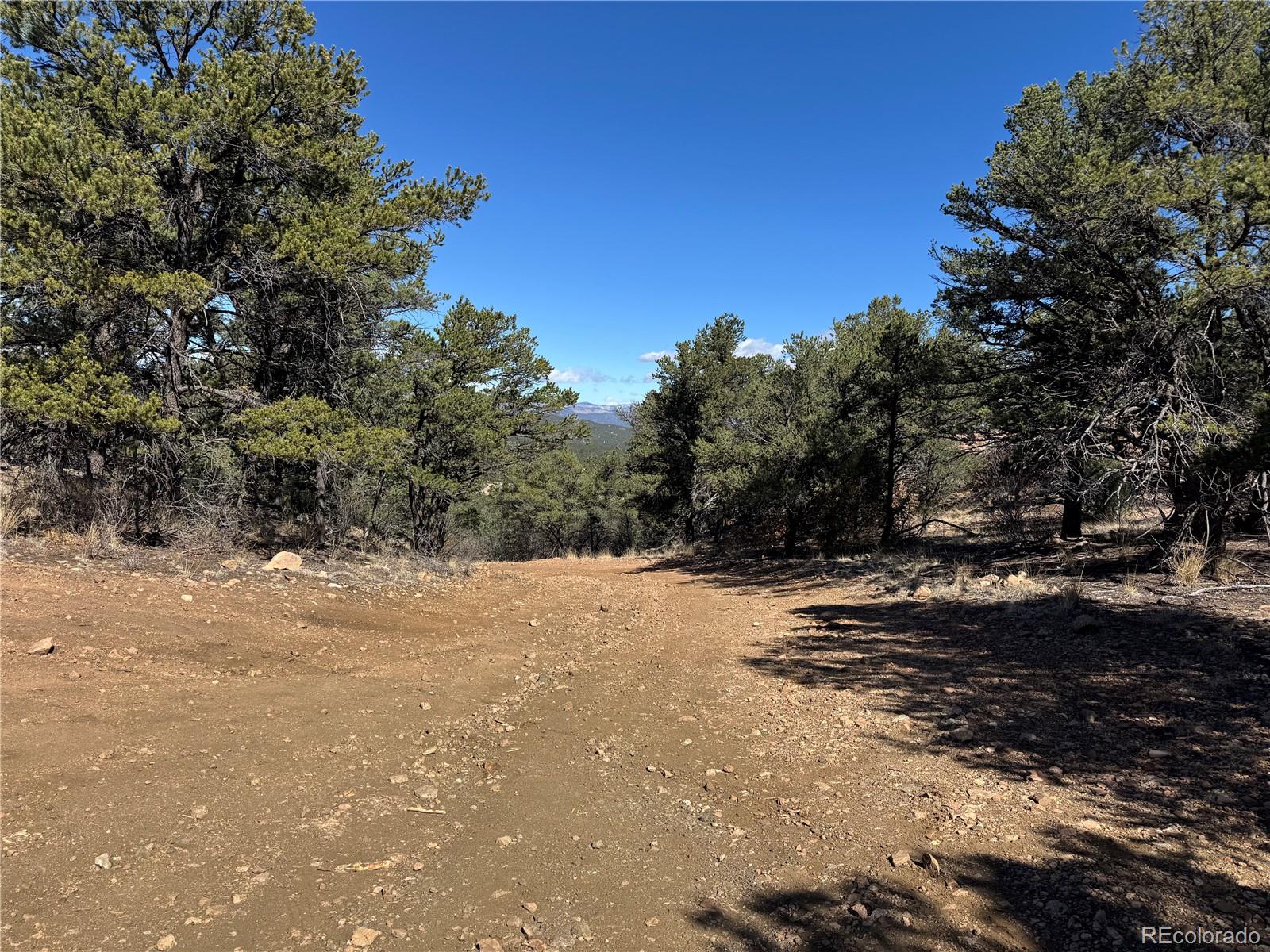TR-143 18th Trail Cotopaxi CO 81223