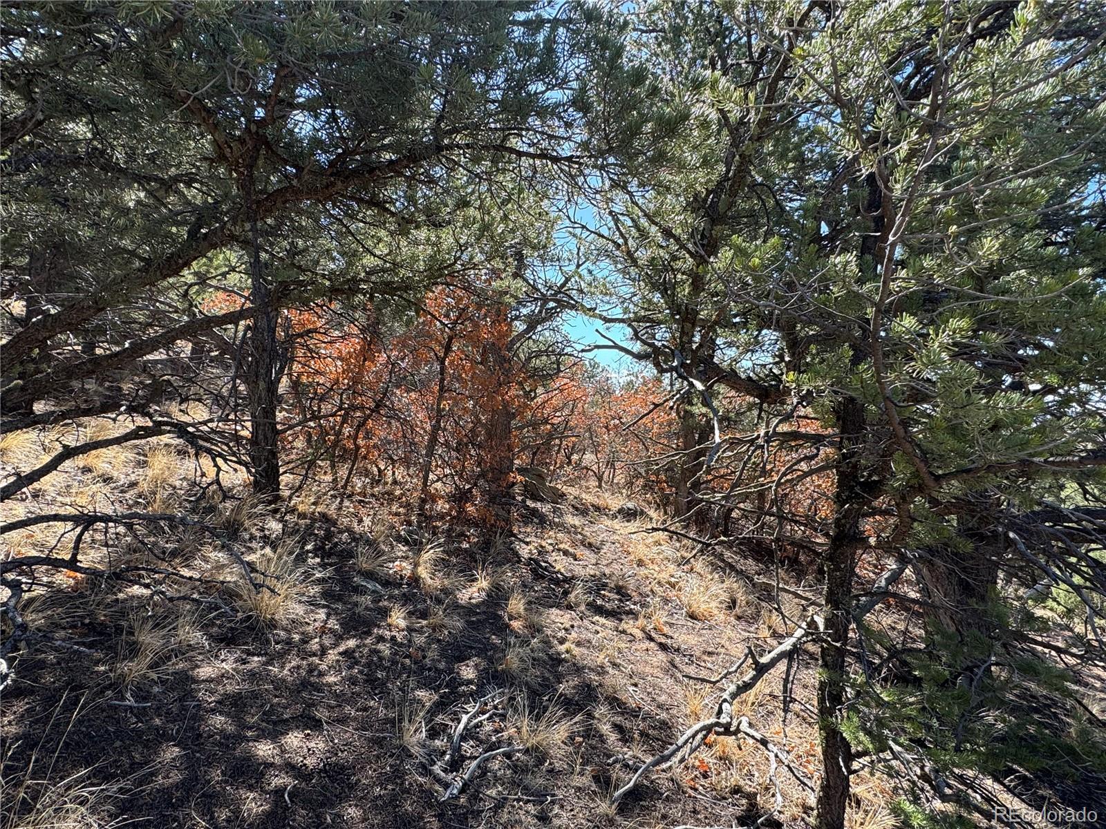 TR-143 18th Trail Cotopaxi CO 81223