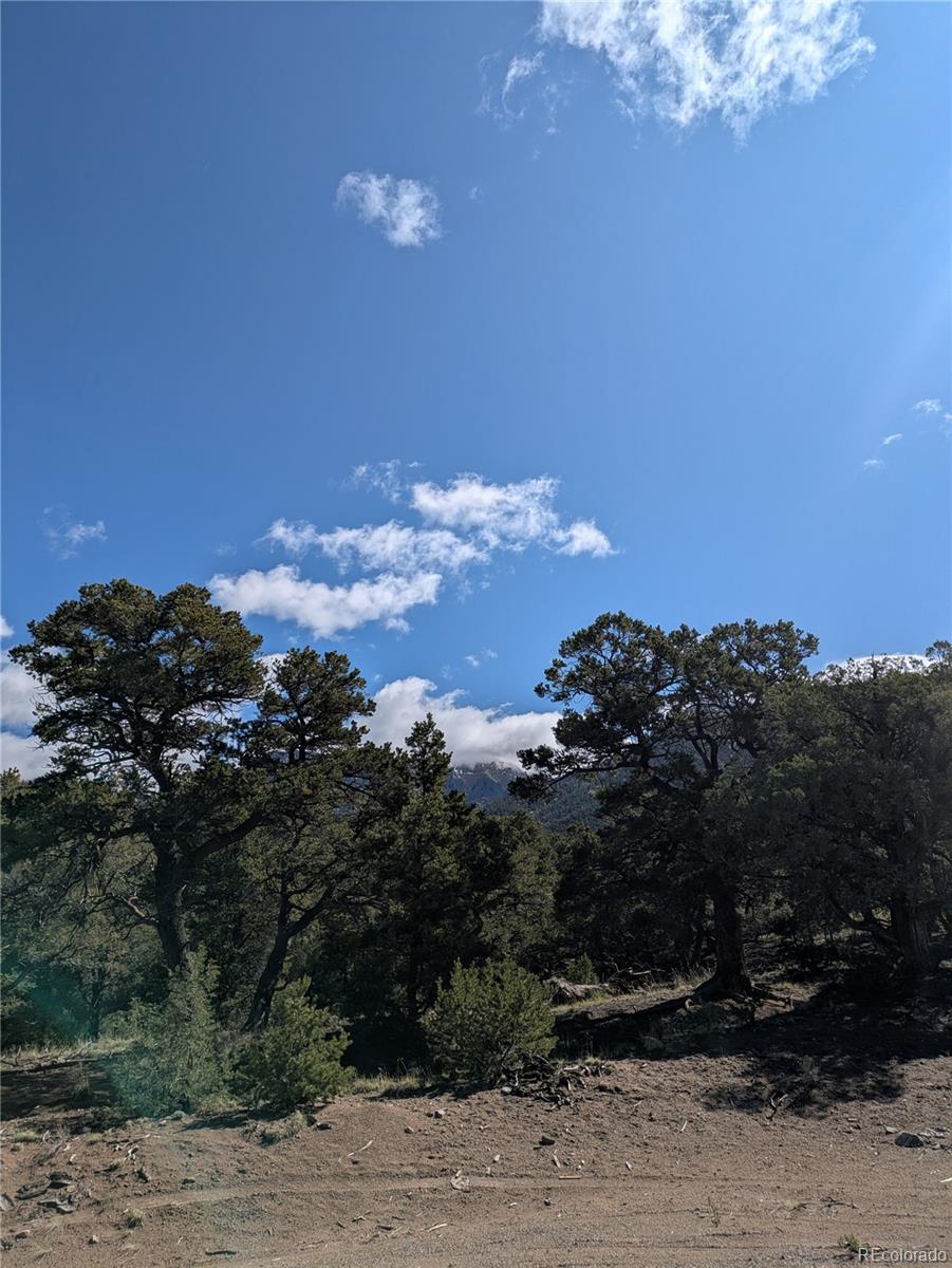1814 Lobo Point Crestone CO 81131