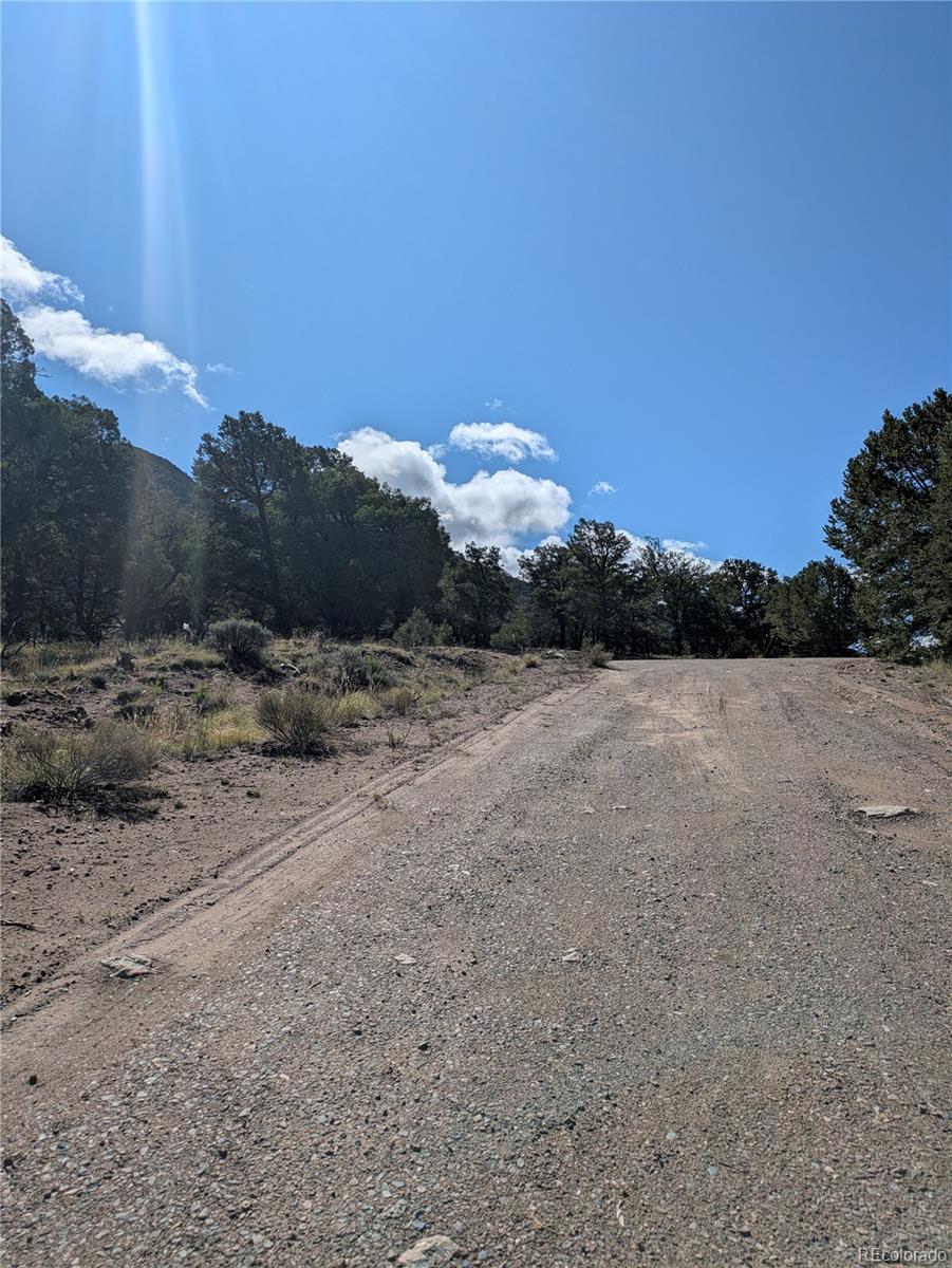 1814 Lobo Point Crestone CO 81131