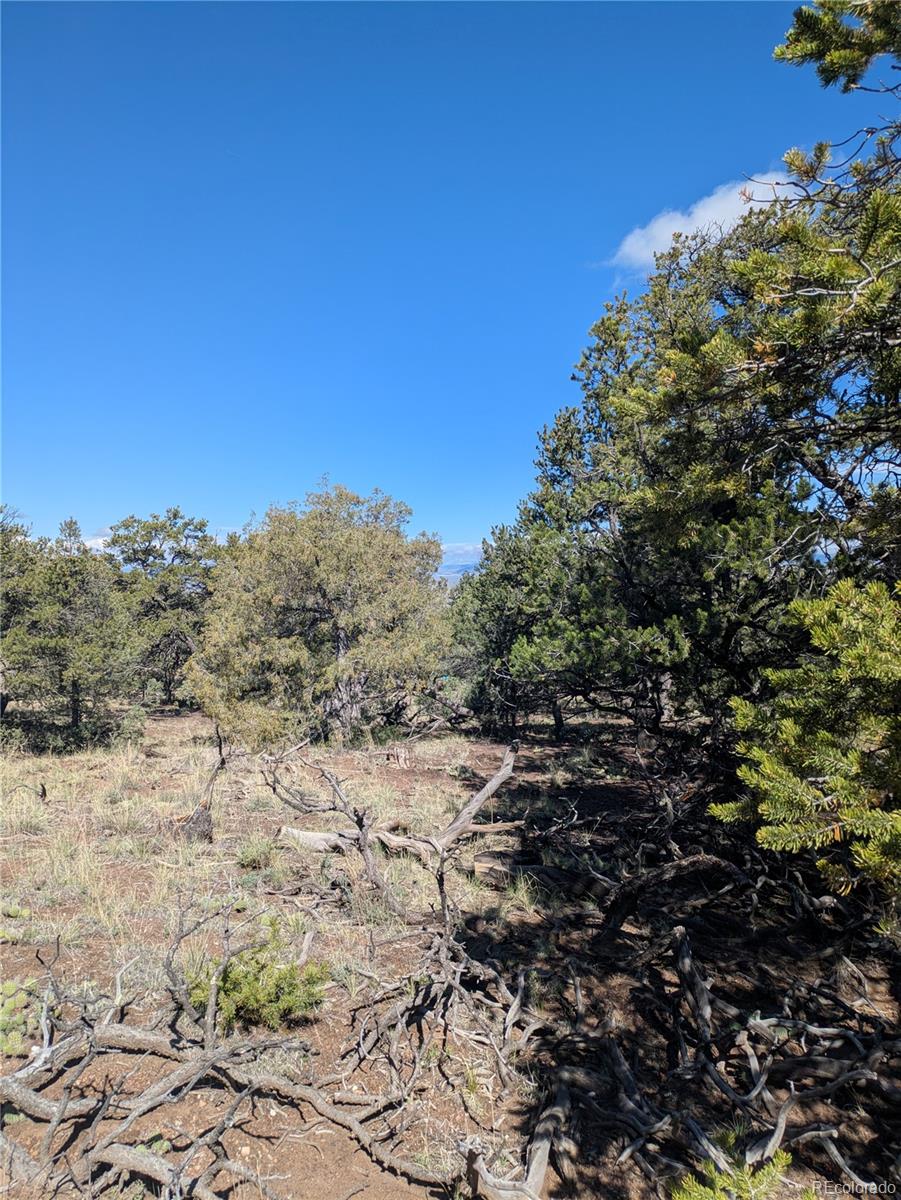 1814 Lobo Point Crestone CO 81131