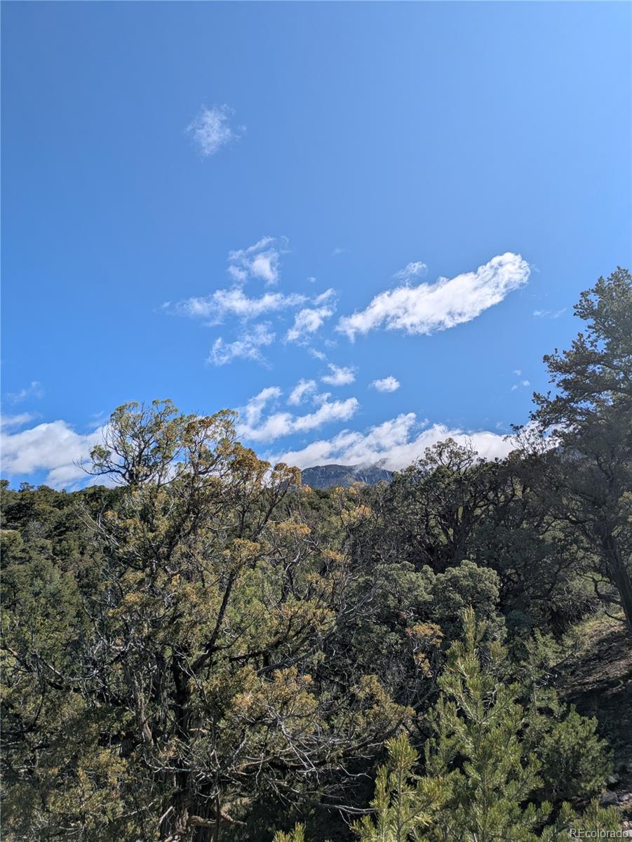 1814 Lobo Point Crestone CO 81131