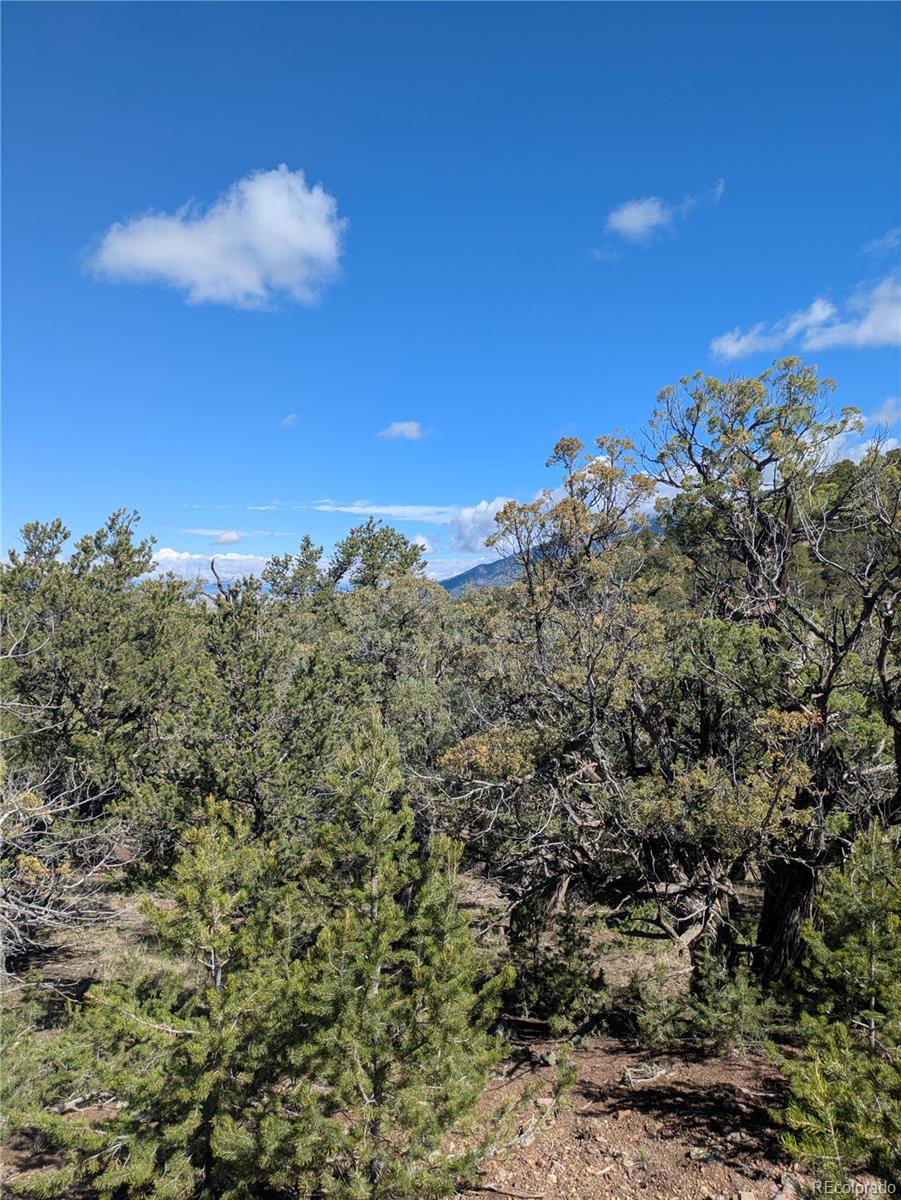 1814 Lobo Point Crestone CO 81131