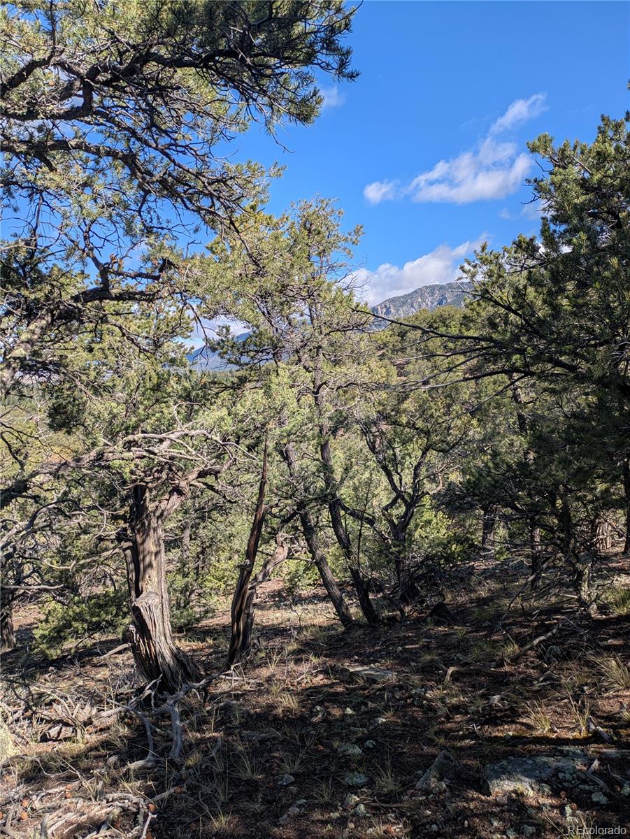 1814 Lobo Point Crestone CO 81131