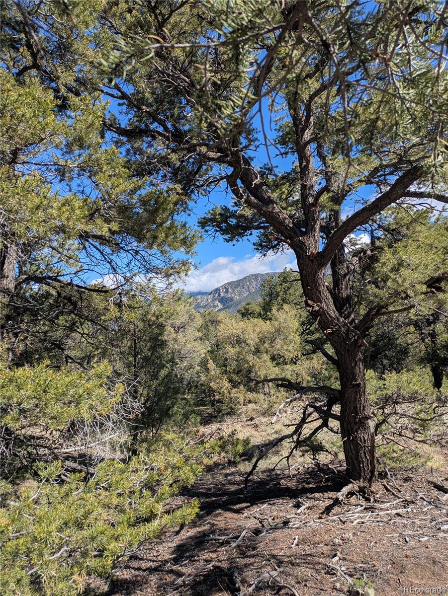 1814 Lobo Point Crestone CO 81131