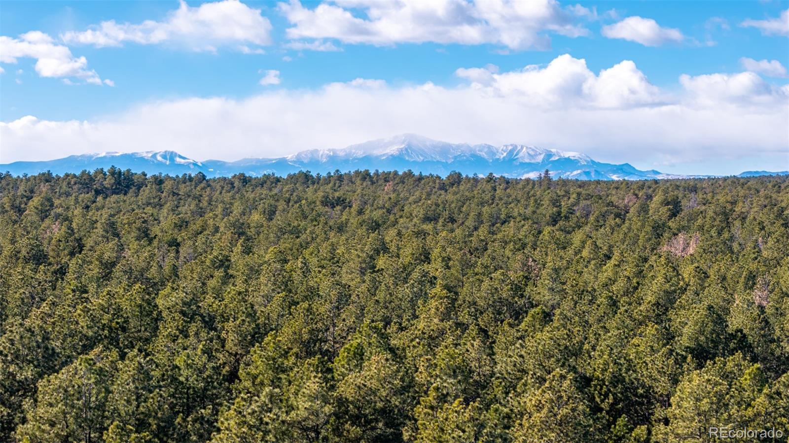 10775 Hardy Road Colorado Springs CO 80908
