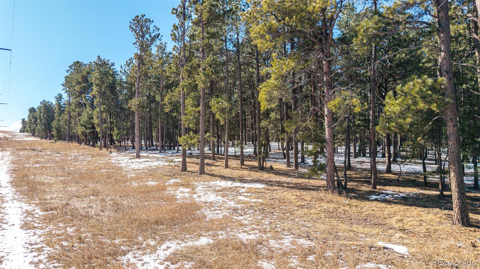 10775 Hardy Road Colorado Springs CO 80908