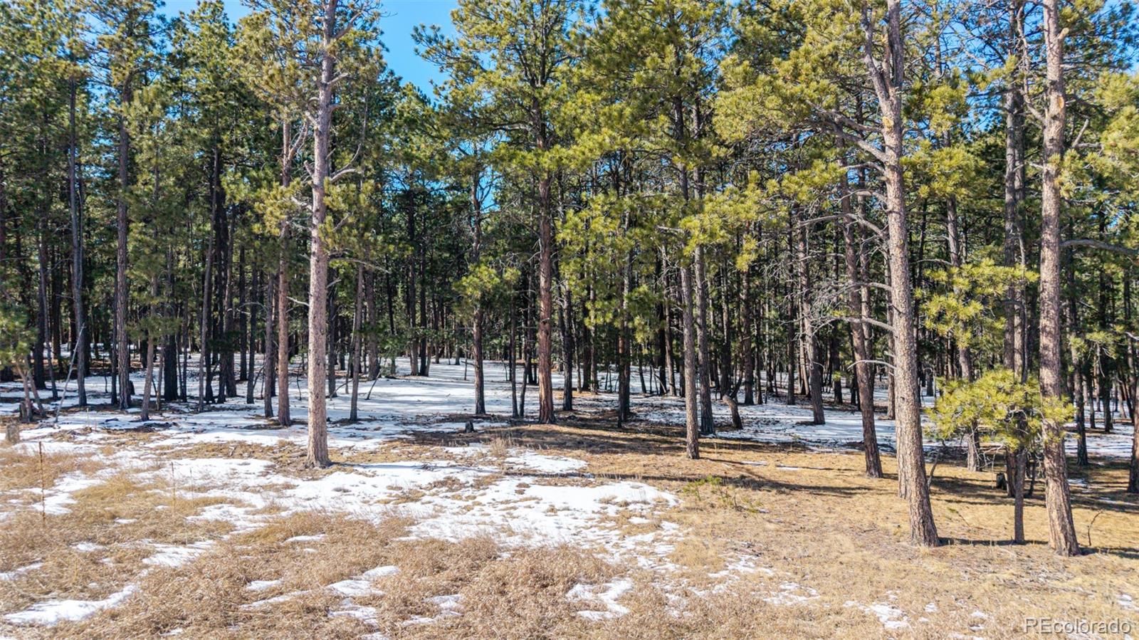 10775 Hardy Road Colorado Springs CO 80908