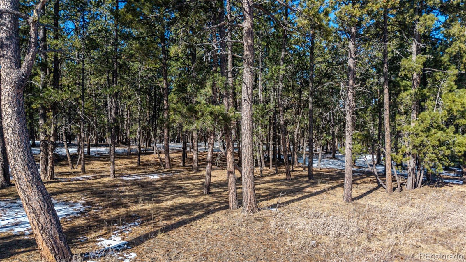 10775 Hardy Road Colorado Springs CO 80908