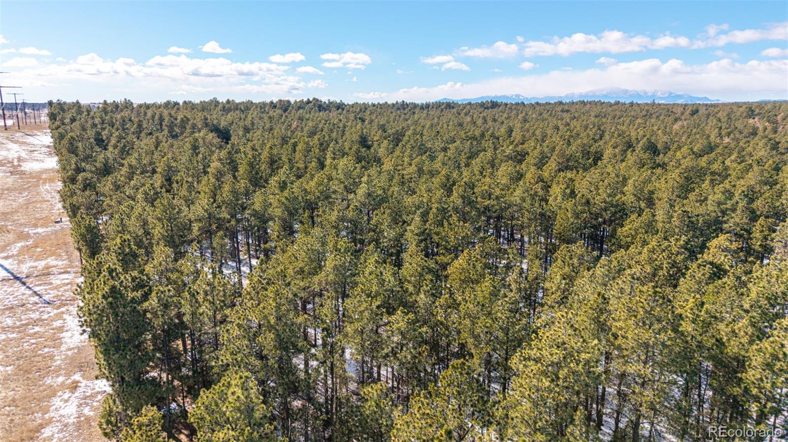 10775 Hardy Road Colorado Springs CO 80908