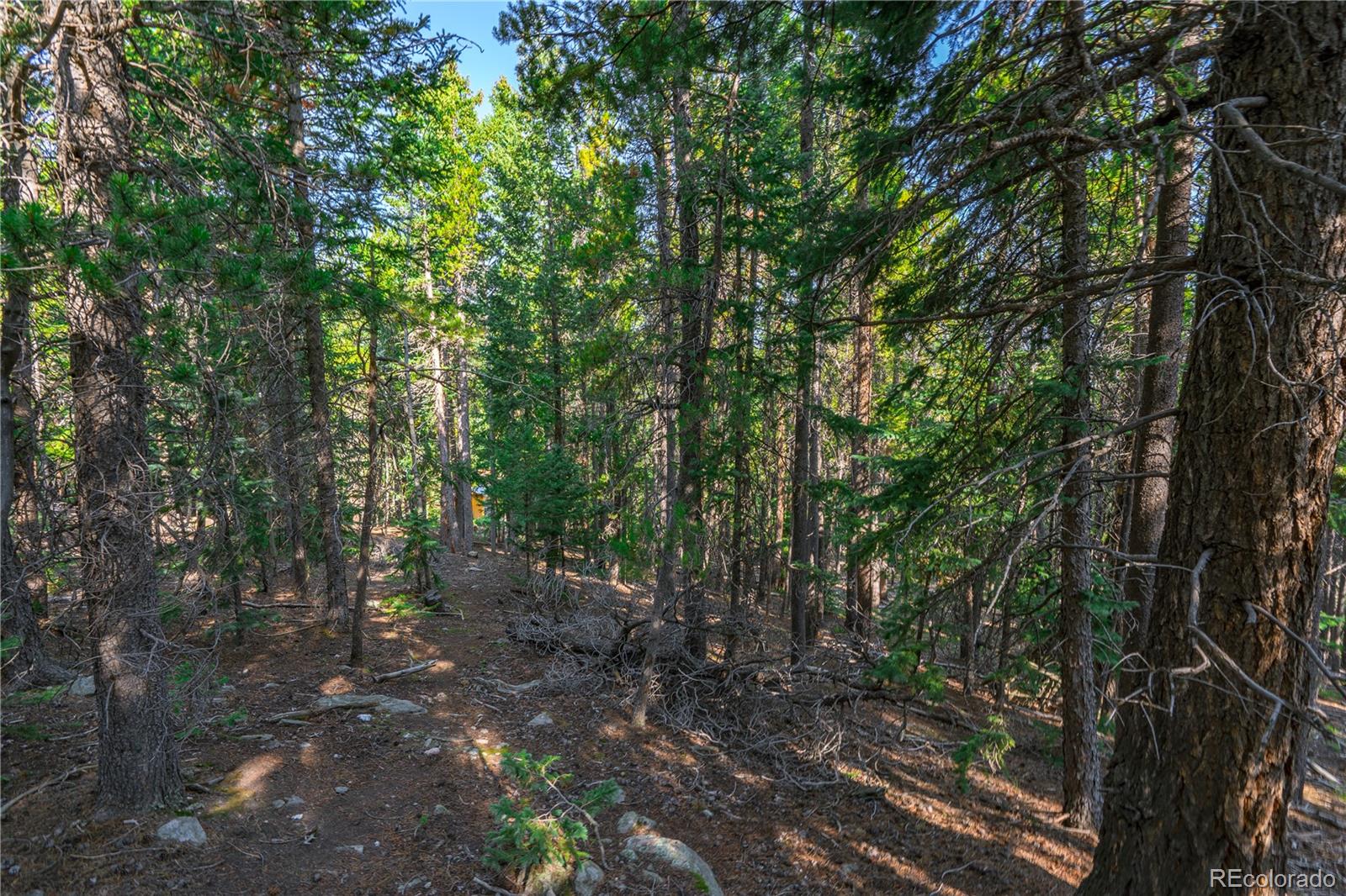 000 Aspenwood Lane Evergreen CO 80439