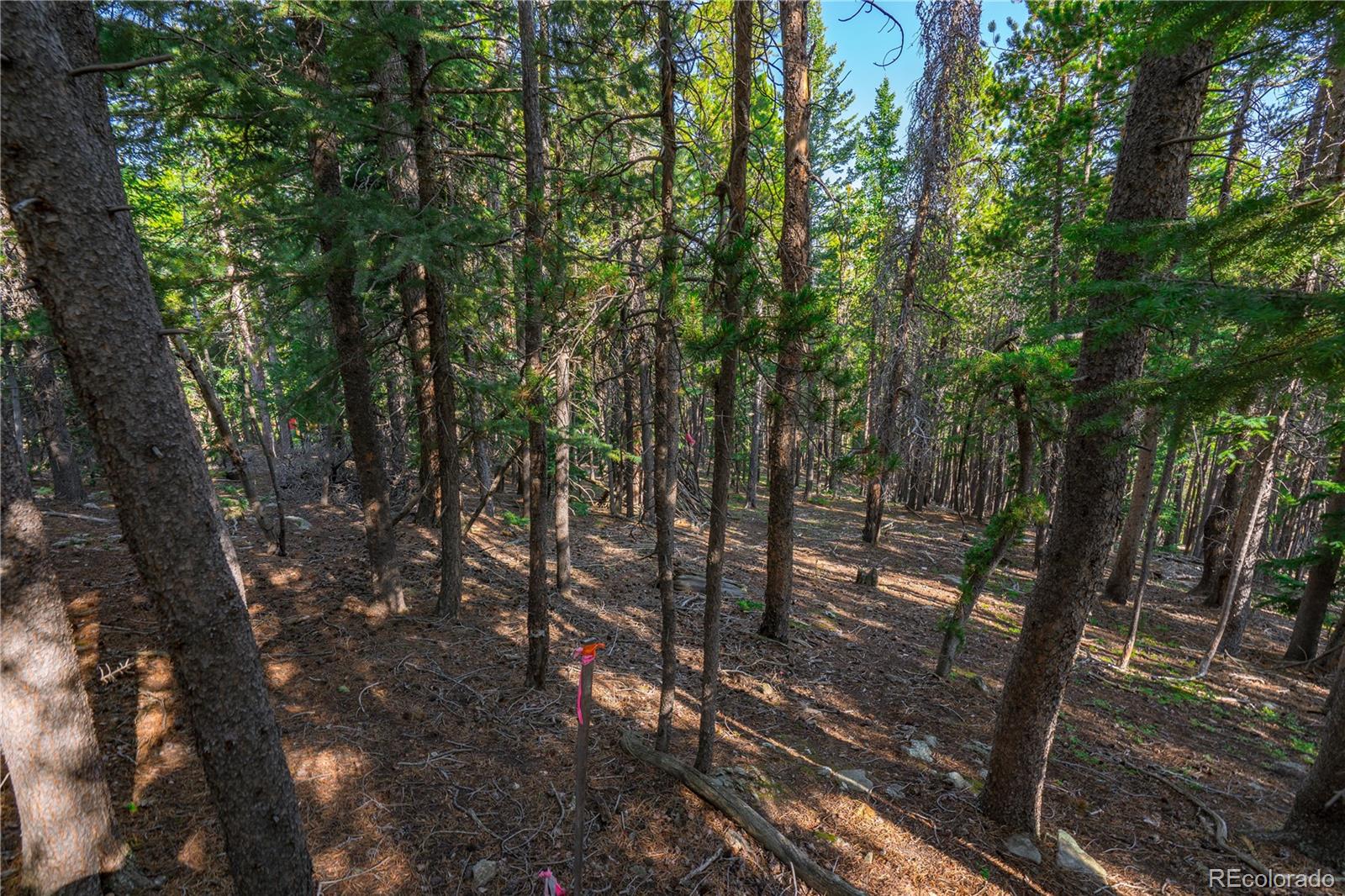 000 Aspenwood Lane Evergreen CO 80439