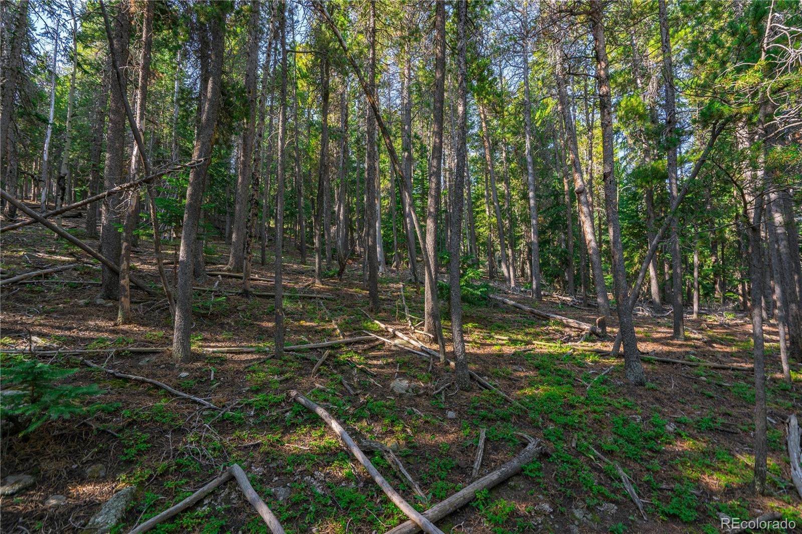 000 Aspenwood Lane Evergreen CO 80439