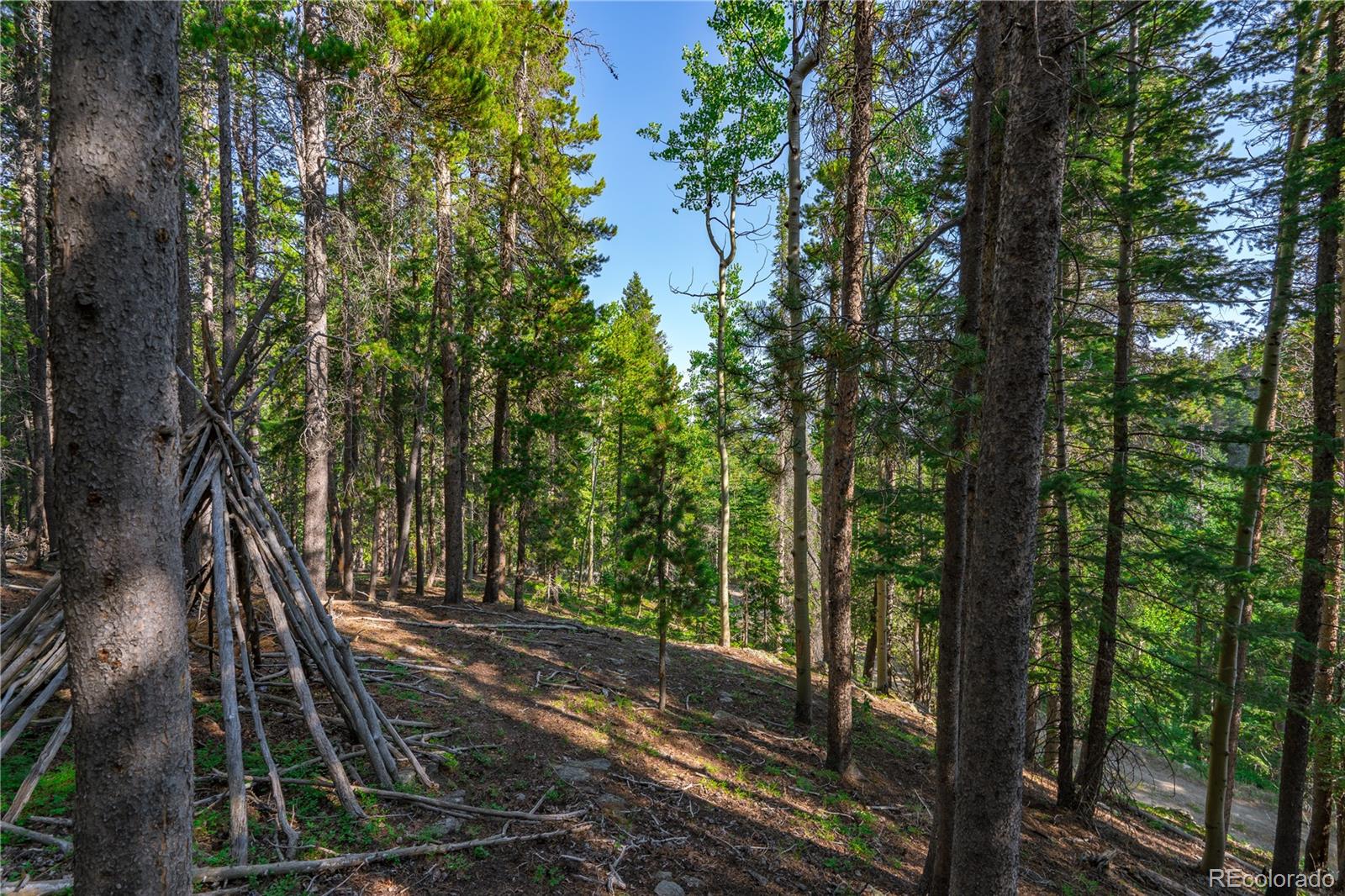 000 Aspenwood Lane Evergreen CO 80439