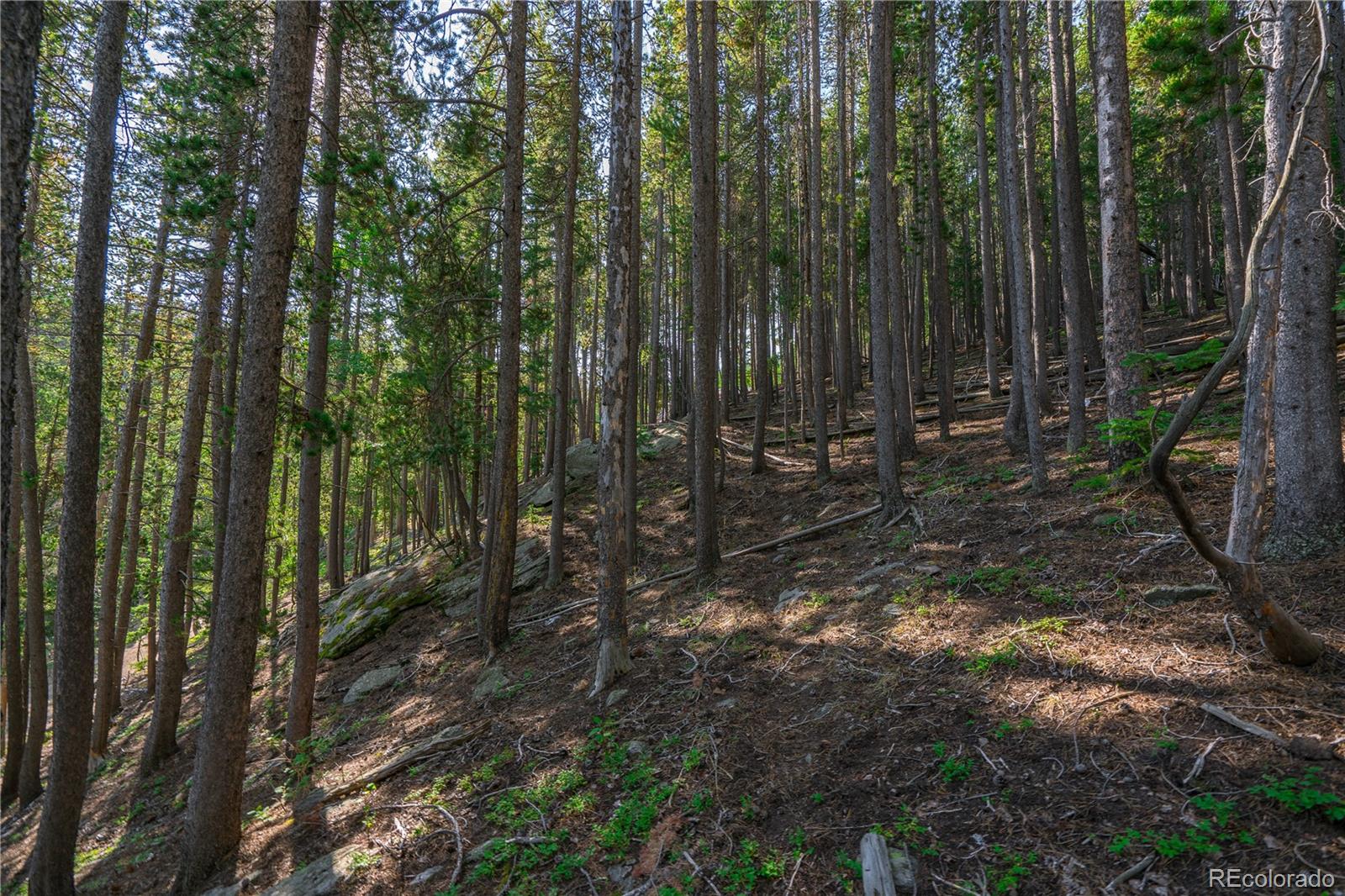 000 Aspenwood Lane Evergreen CO 80439