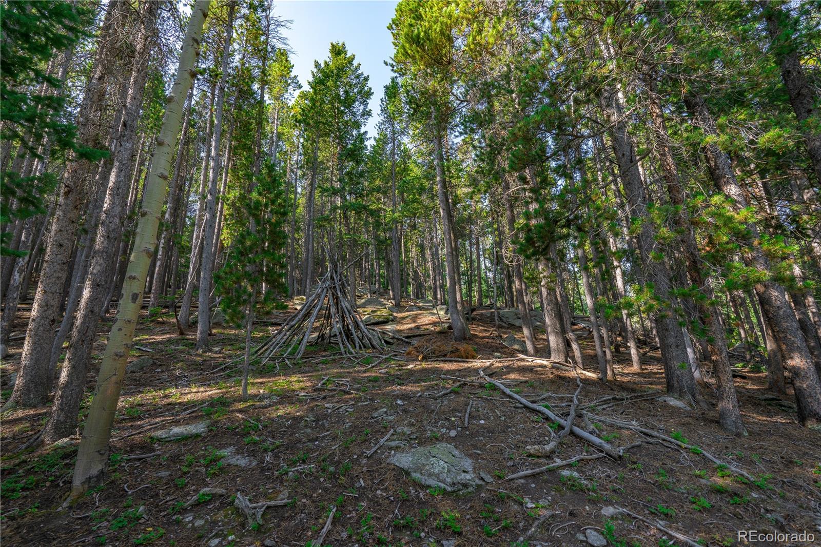 000 Aspenwood Lane Evergreen CO 80439