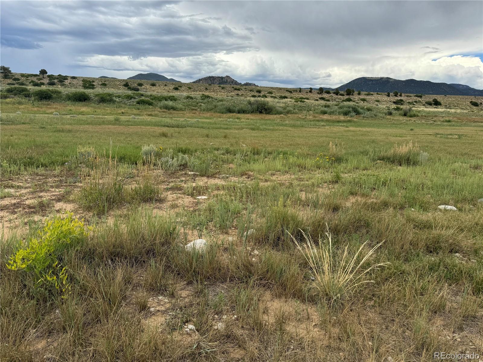 24277 River Rock Lane Buena Vista CO 81211