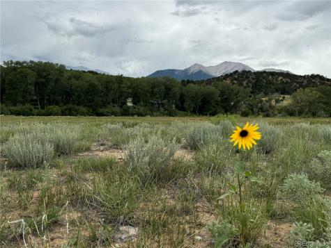 24277 River Rock Lane Buena Vista CO 81211