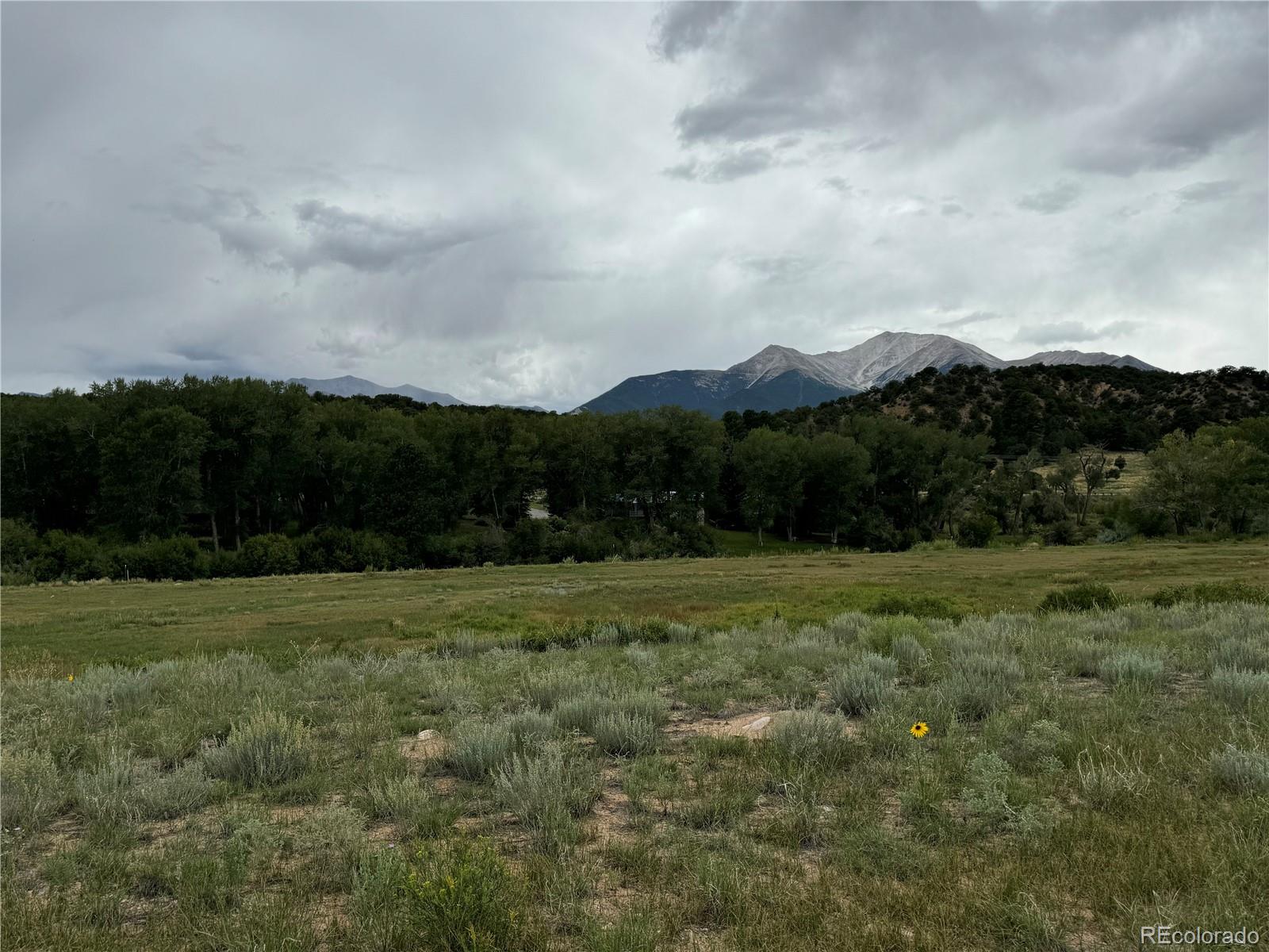 24277 River Rock Lane Buena Vista CO 81211