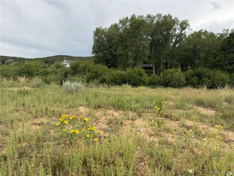 24277 River Rock Lane Buena Vista CO 81211