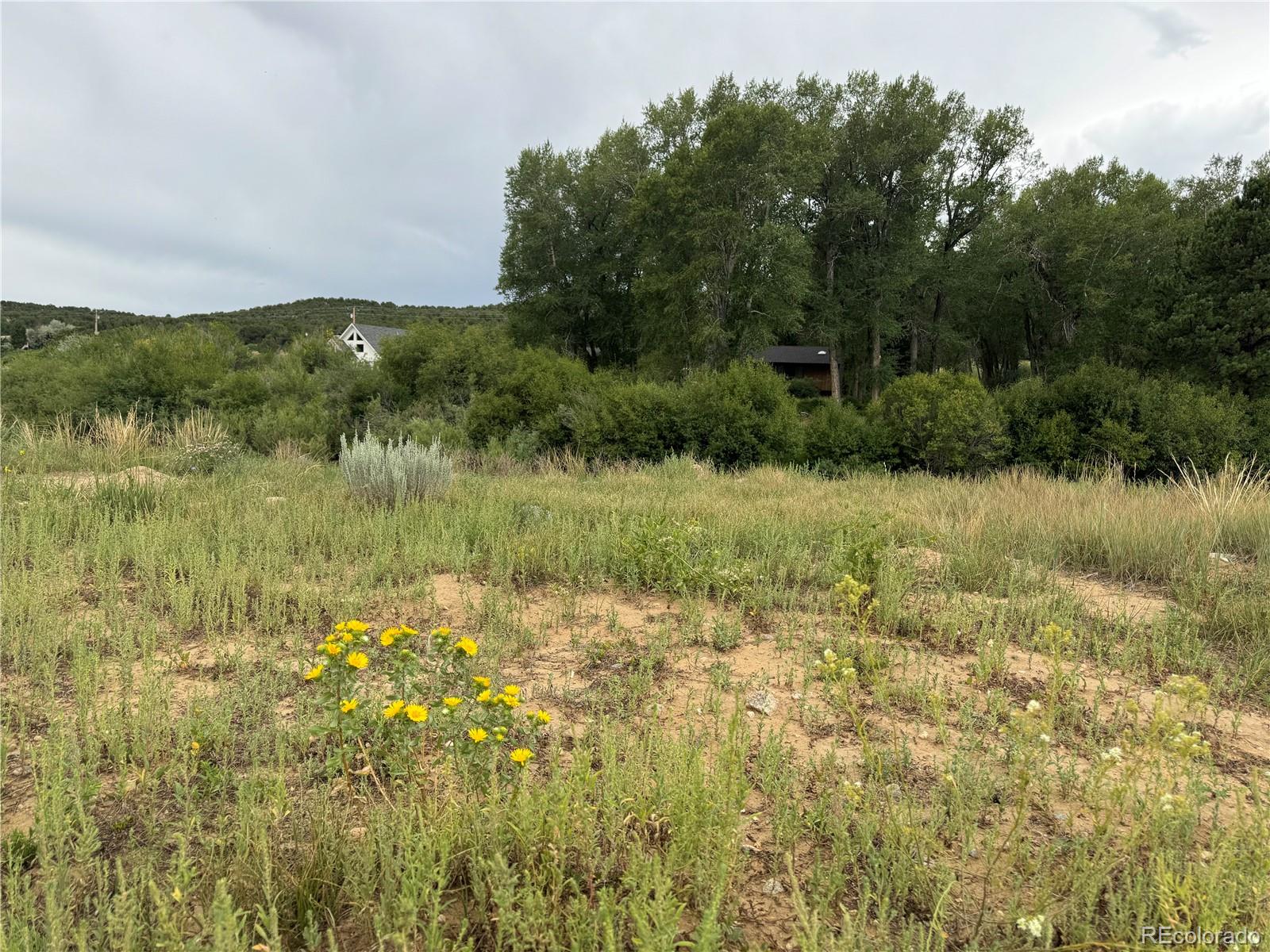 24277 River Rock Lane Buena Vista CO 81211