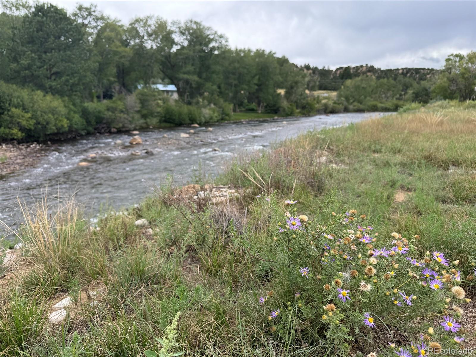 24277 River Rock Lane Buena Vista CO 81211