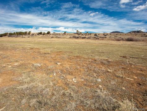 24277 River Rock Lane Buena Vista CO 81211