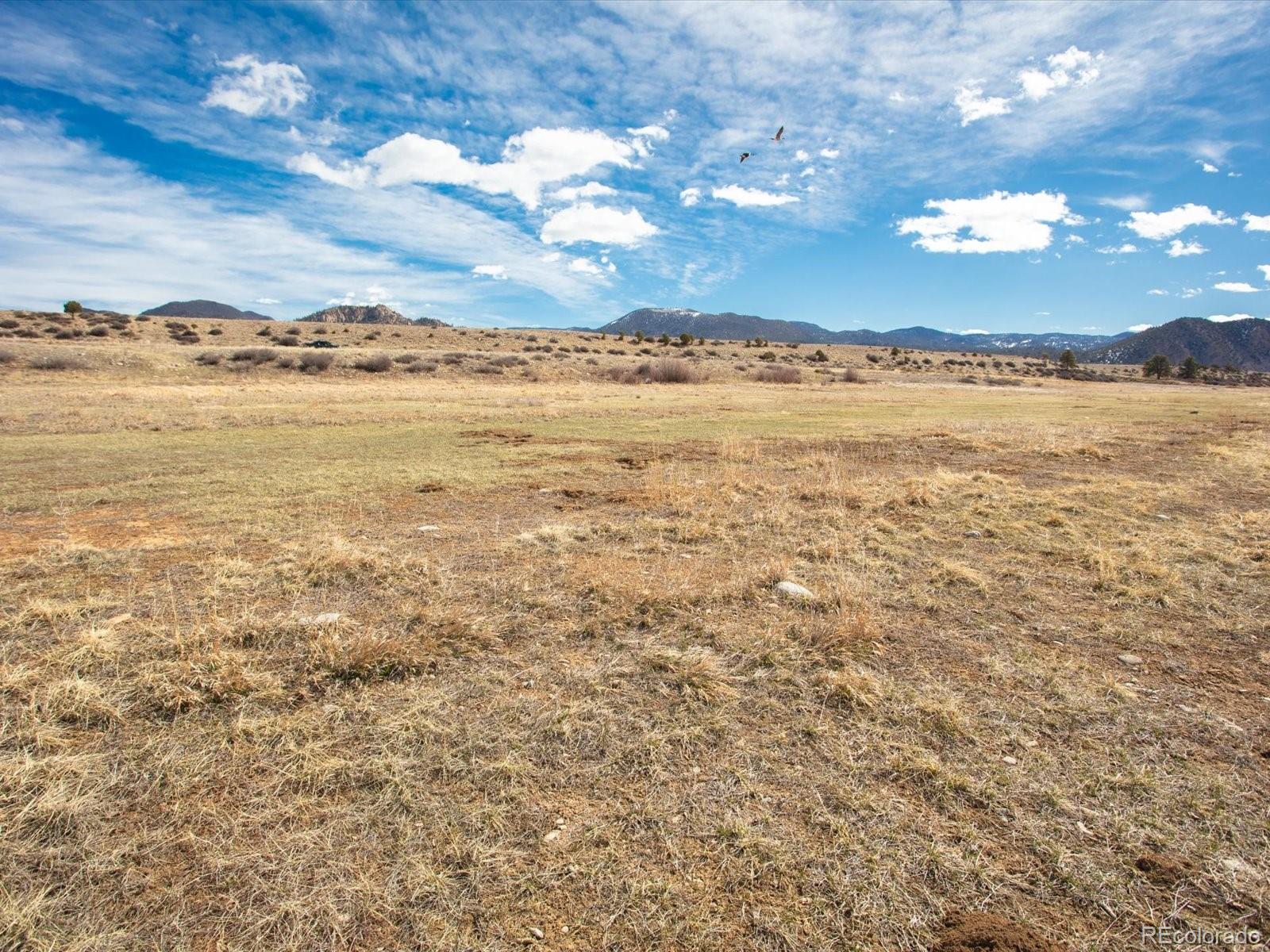 24277 River Rock Lane Buena Vista CO 81211