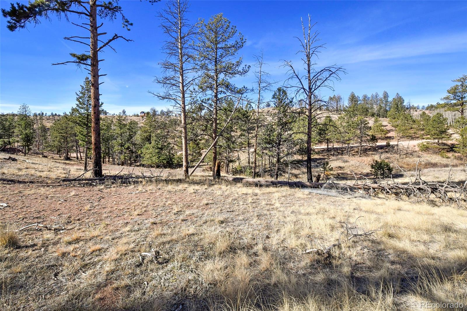 238 Chateau West Drive Florissant CO 80816
