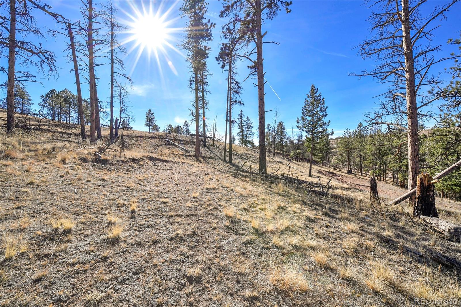 238 Chateau West Drive Florissant CO 80816