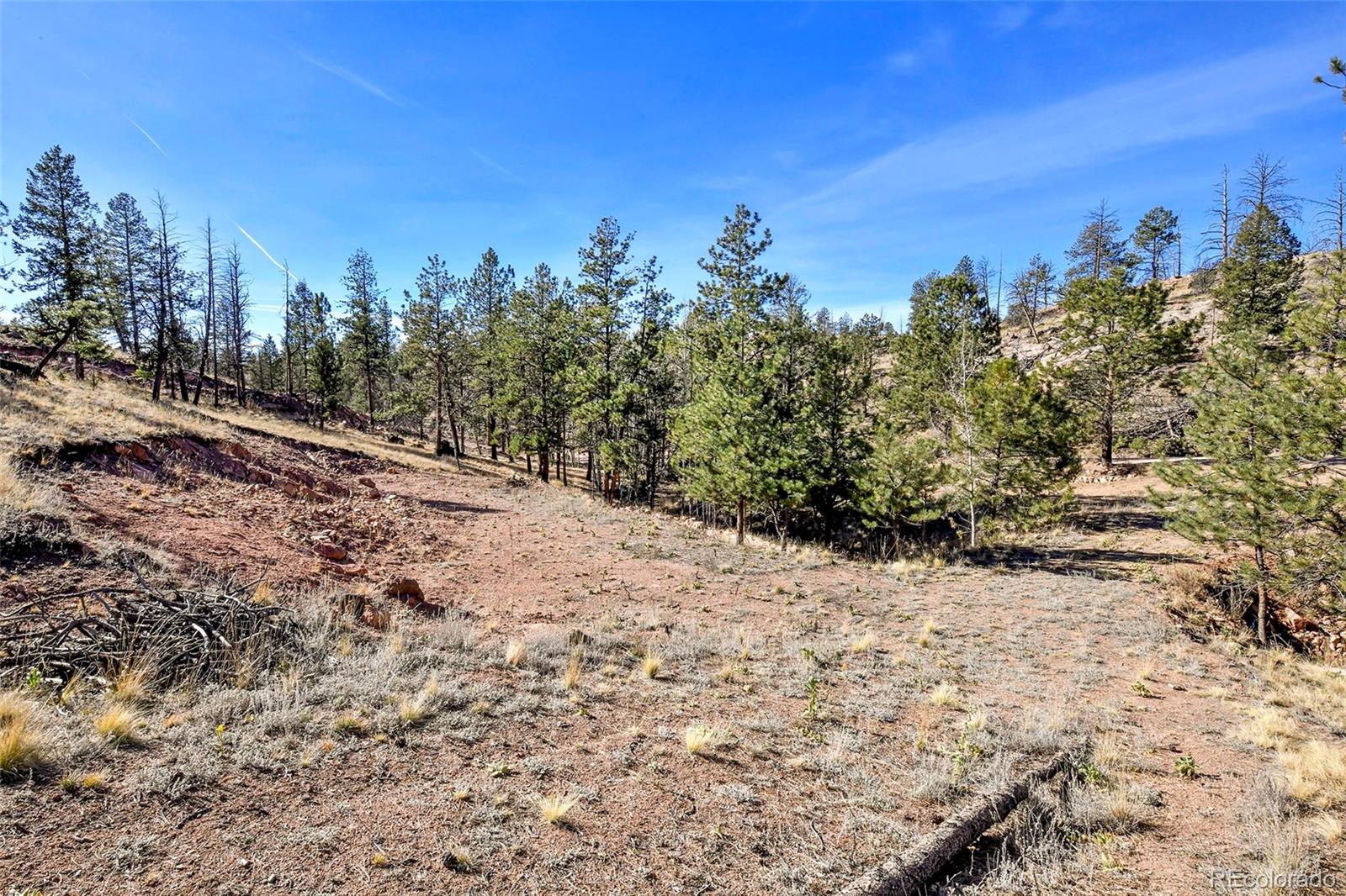 238 Chateau West Drive Florissant CO 80816